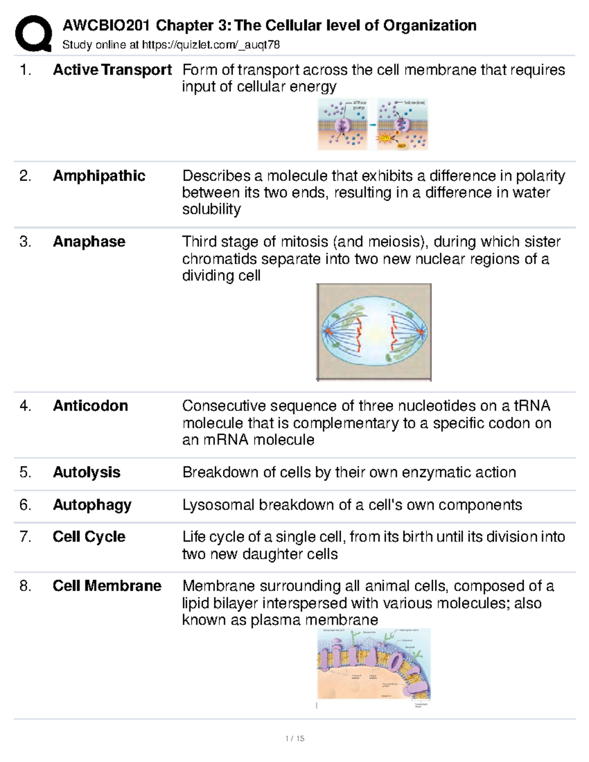 Quizlet ch 3 anatomy - study - Study online at quizlet/_auqt Active ...