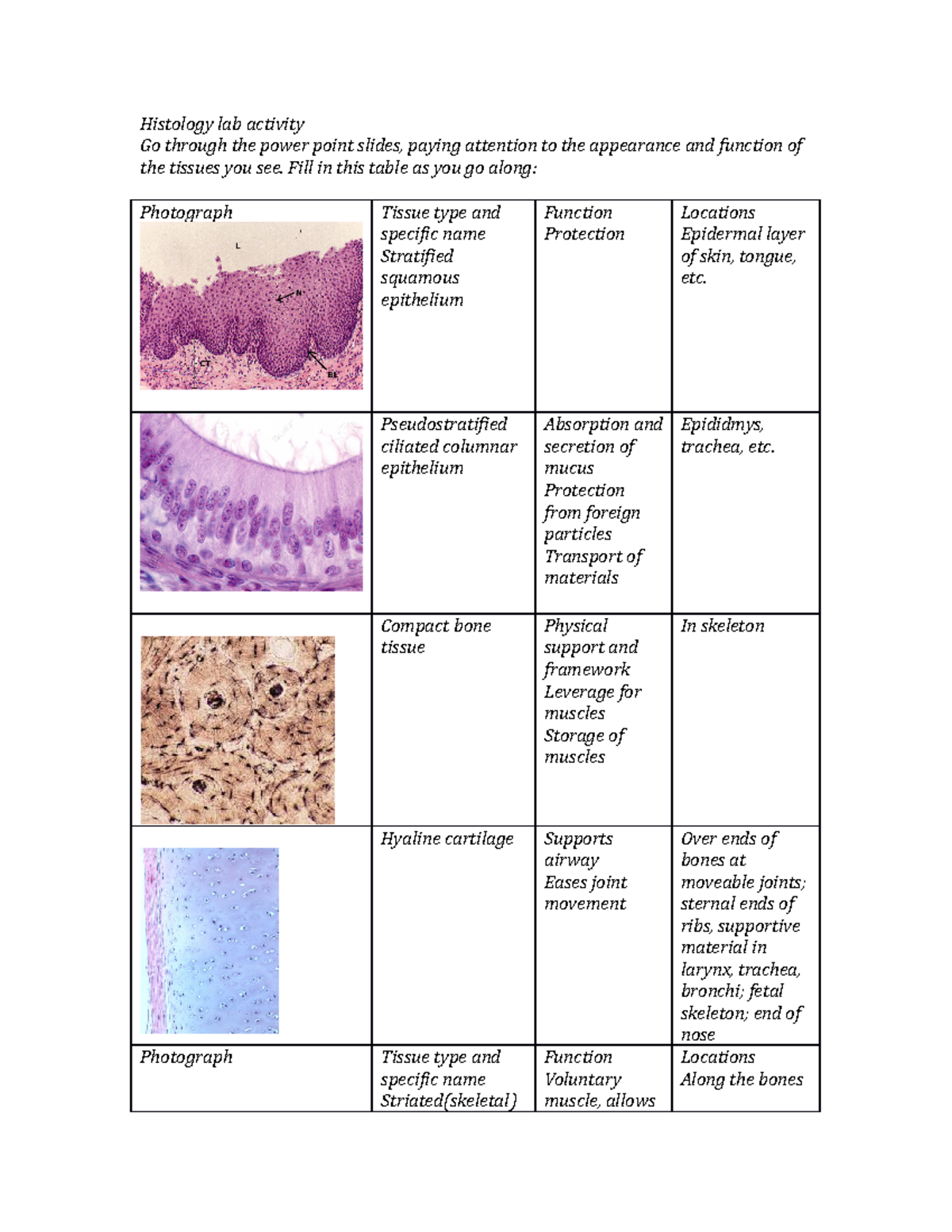 histology lab assignment