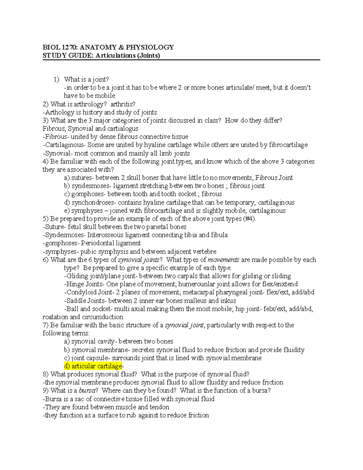 Anatomy visual data 2