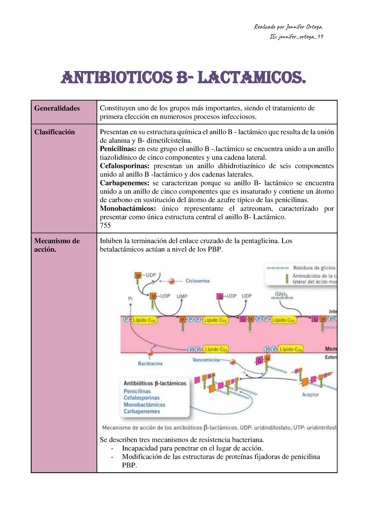 Antibioticos B - Lactamicos - IG: Jennifer_ortega_ ANTIBIOTICOS B ...