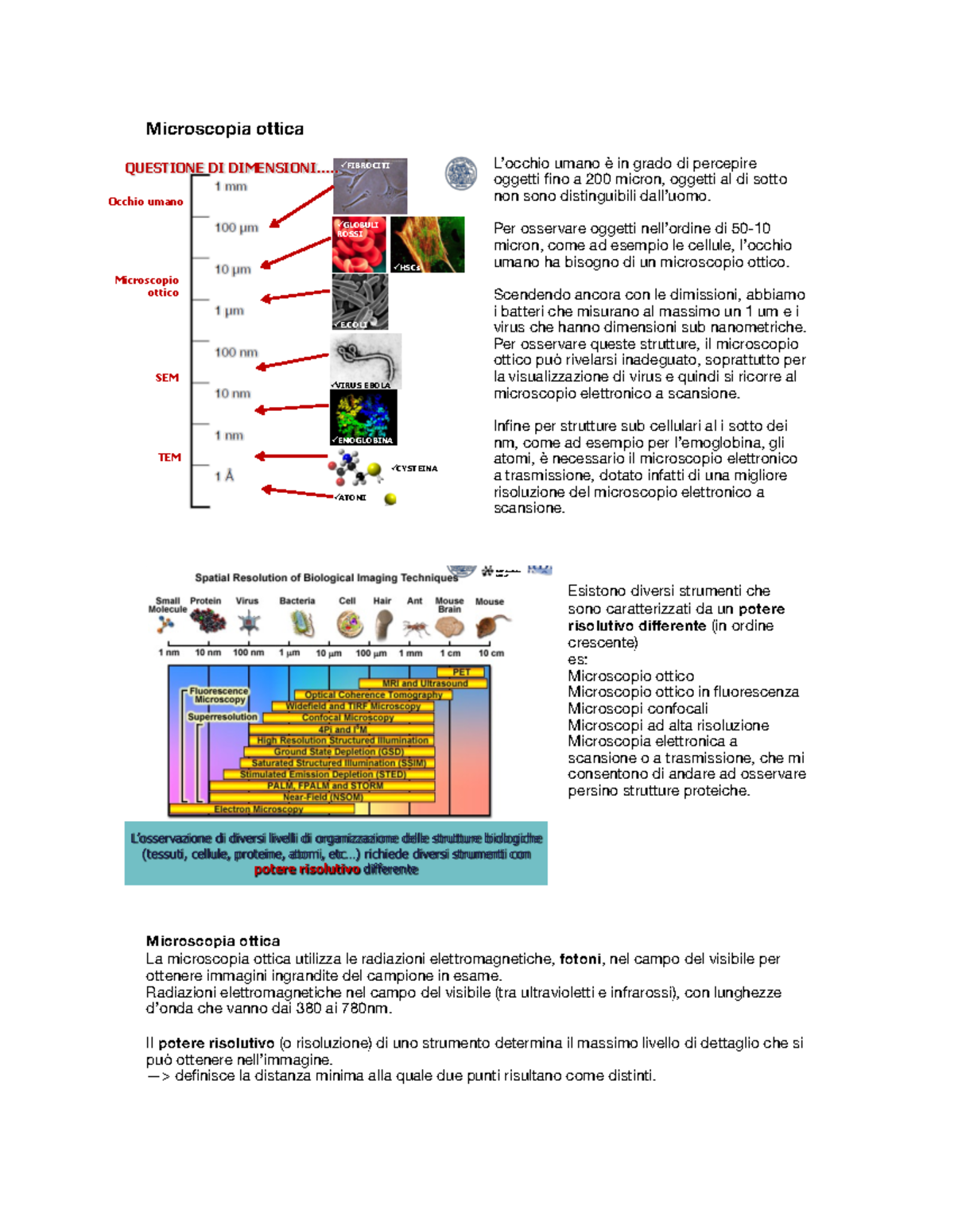 Ese3 BC Microscopio Ottico - Microscopia ottica L’occhio umano è in ...