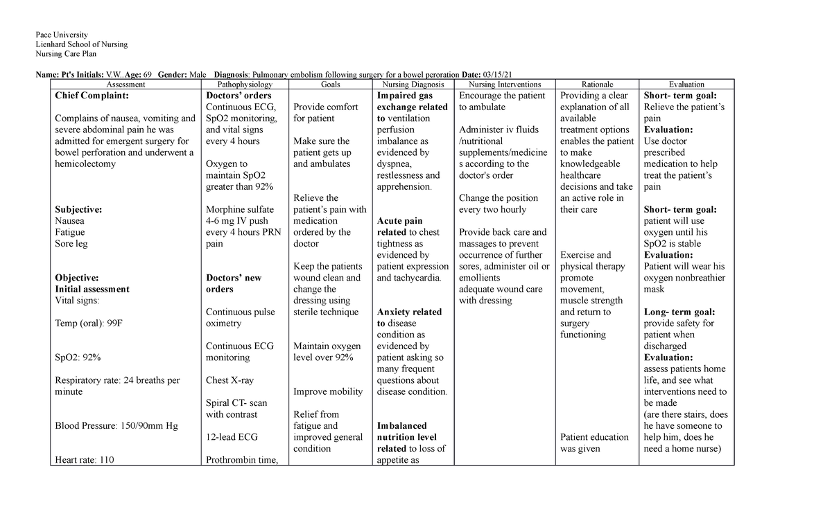 Vernon Watkins Nursing Care Plan - Pace University Lienhard School of ...