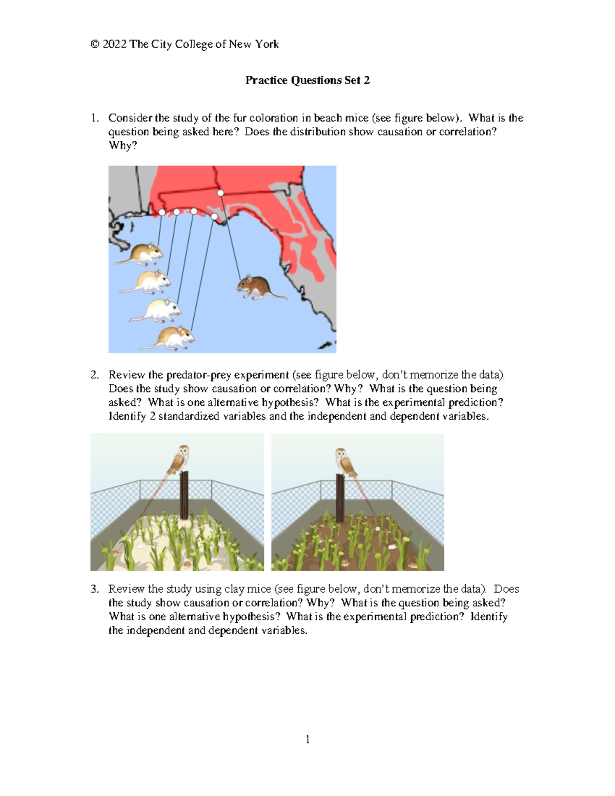 Practice Questions Set 2 - What is the question being asked here? Does ...