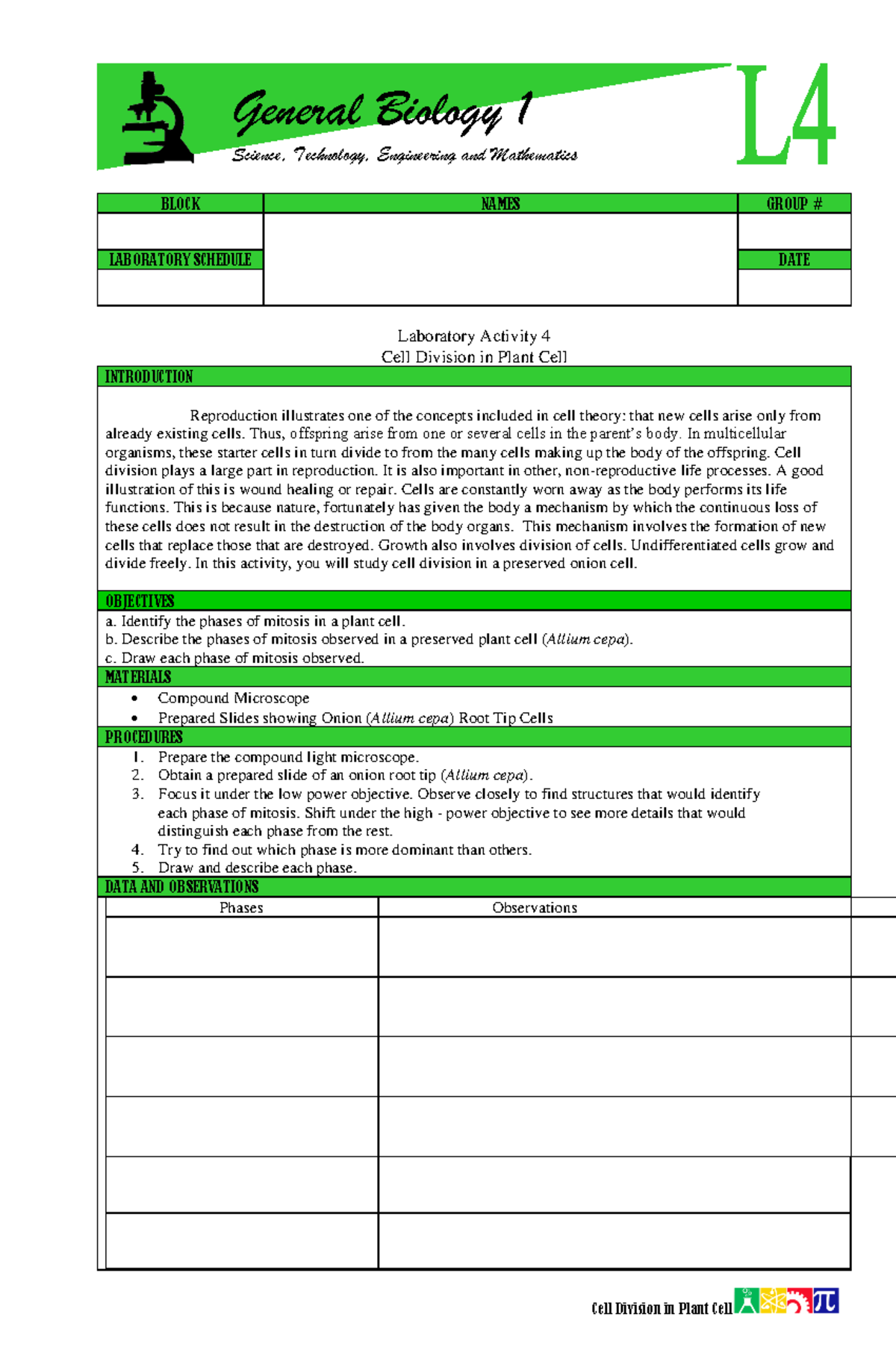 L4 Cell Division in Plant Cell - ####### BLOCK NAMES GROUP ...