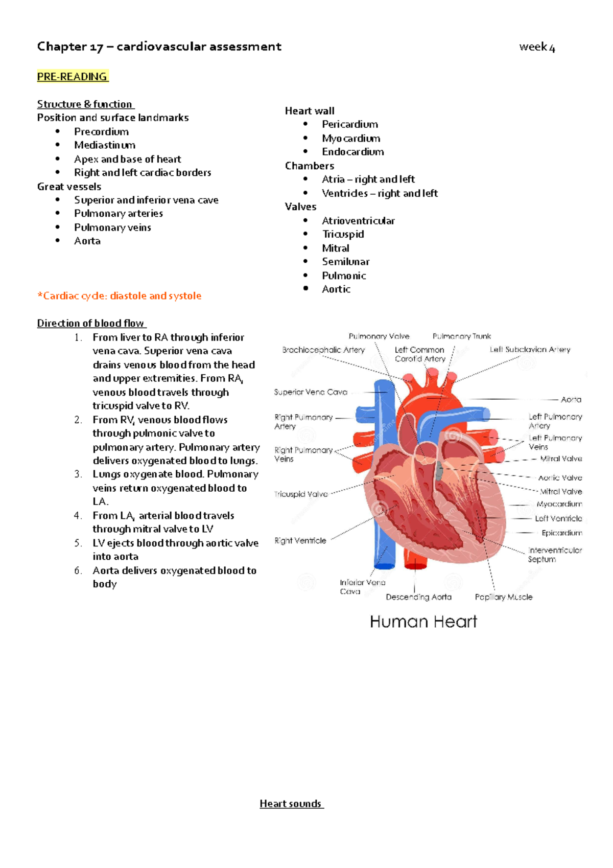 Cardiovascular Week 4 - Chapter 17 – Cardiovascular Assessment Week 4 ...