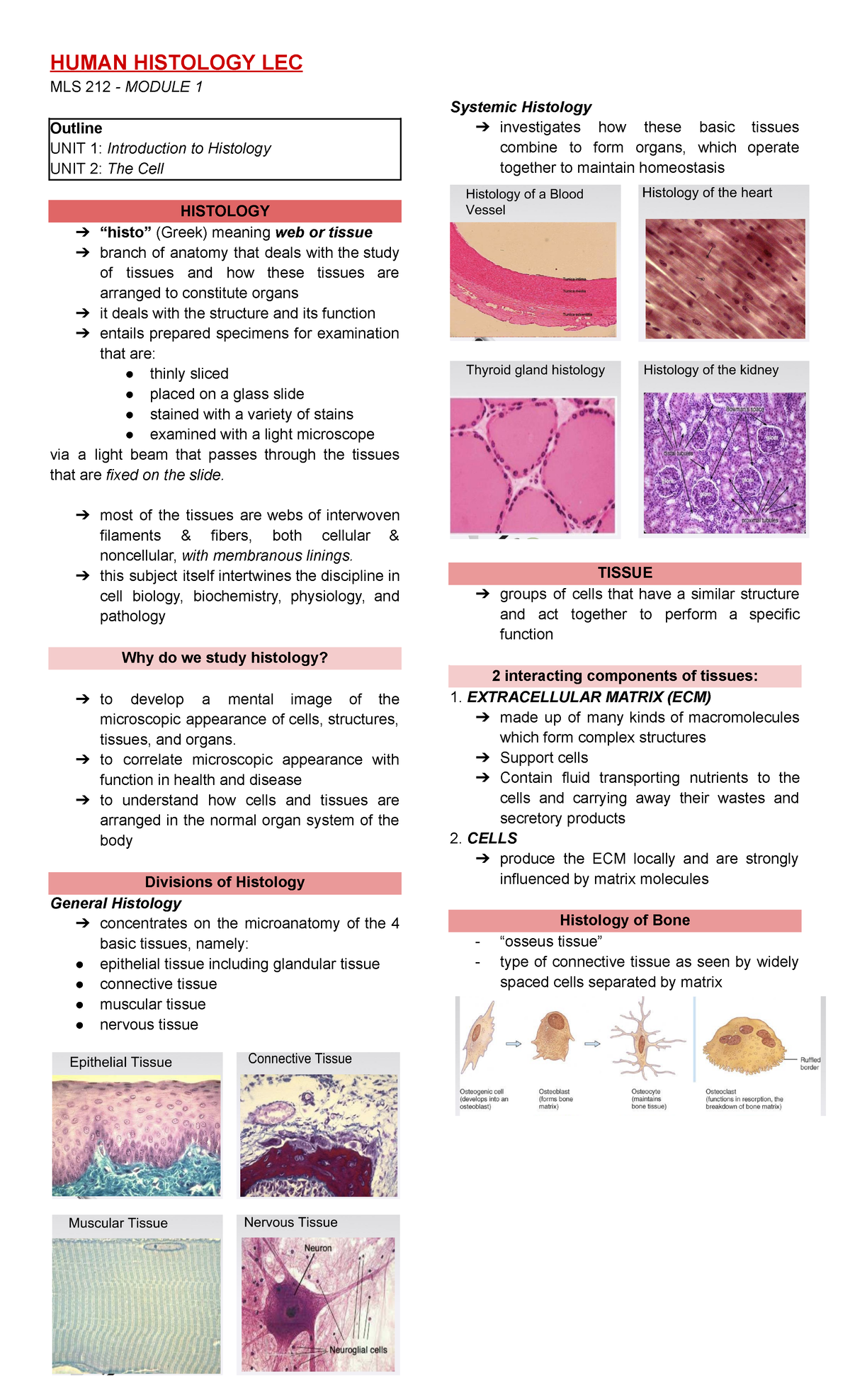 Histology - intro - HUMAN HISTOLOGY LEC MLS 212 - MODULE 1 Outline UNIT ...