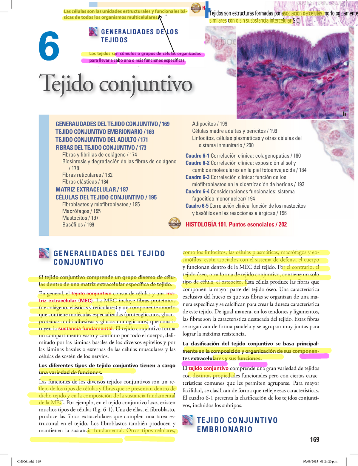 02 Conjuntivo Biologia 169 GENERALIDADES DEL TEJIDO