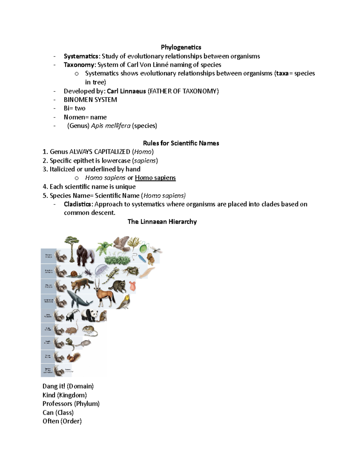 Phylogenetics CH 26 - Phylogenetics Systematics: Study of evolutionary ...