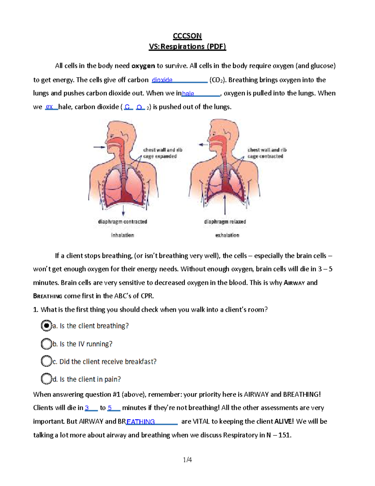 Respirations 150 - fundamental worksheet - CCCSON VS:Respirations (PDF ...