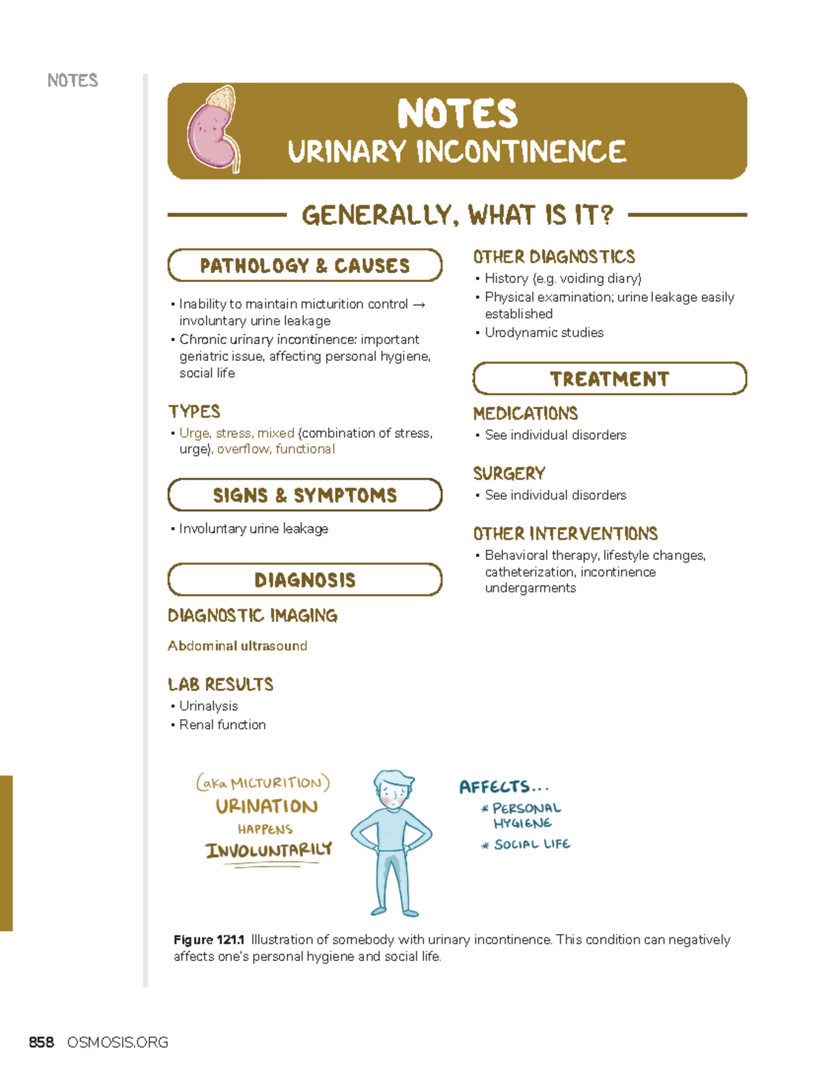 Urinary incontinence renal system course NOTES NOTES URINARY