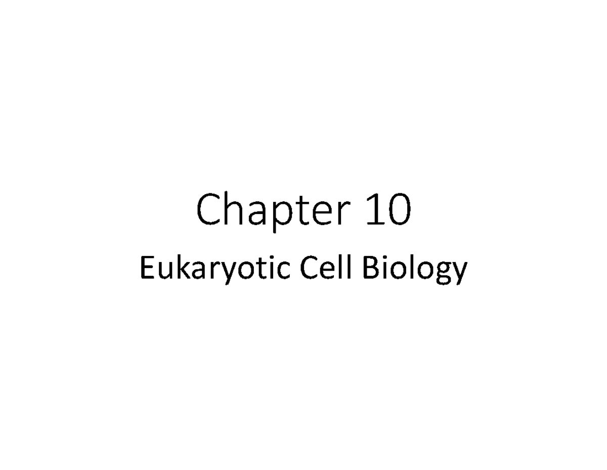 Ch 10 bio lecture - lopes - Chapter 10 Eukaryotic Cell Biology Chapter ...