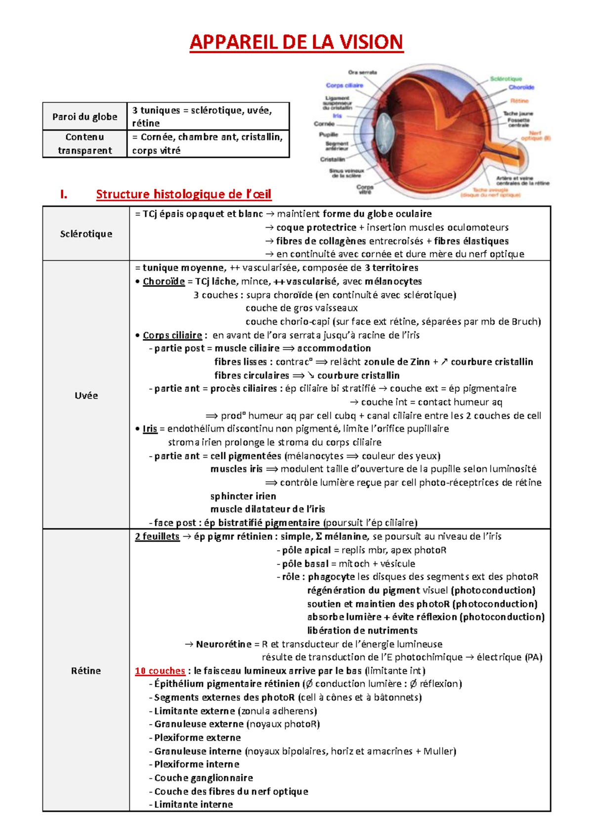 Couche Du Globe Oculaire En 4 Lettres Histo 2 - Oeil - cour de medecine - Warning: TT: undefined function: 22  Warning: TT: undefined - Studocu