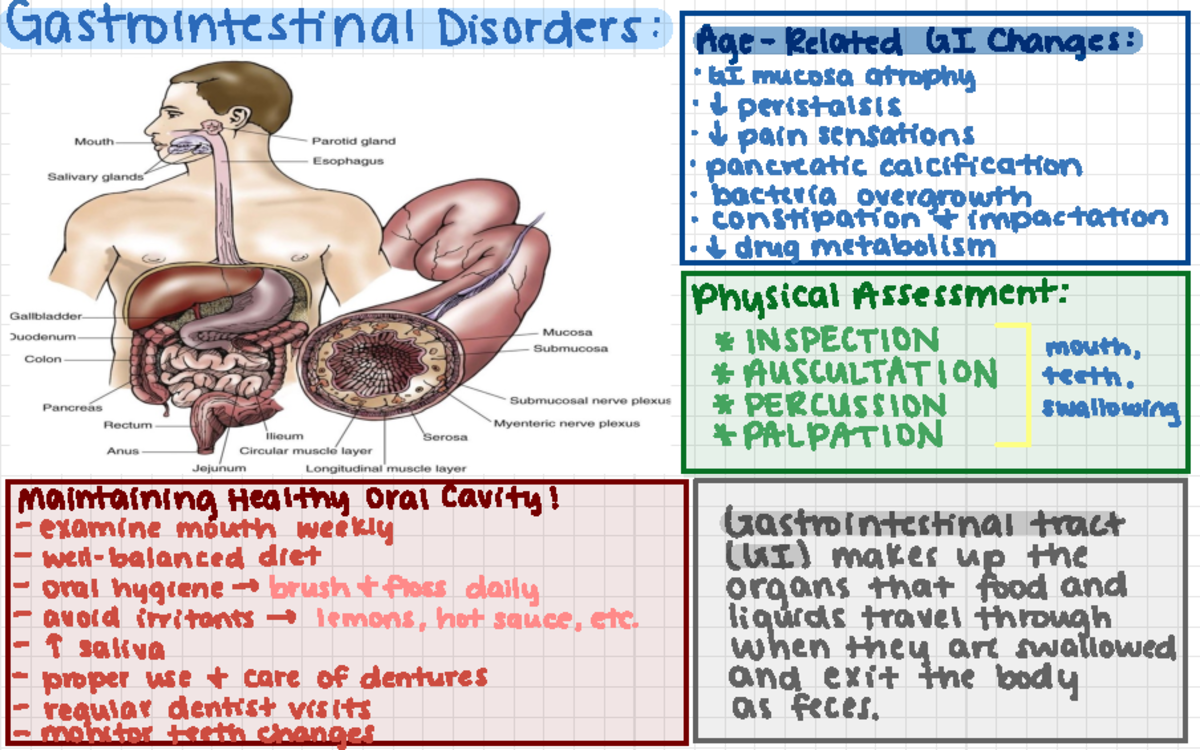 GI Notes (Week 6) - NU.300 Lecture Slides Assignment - Gastrointestinal ...