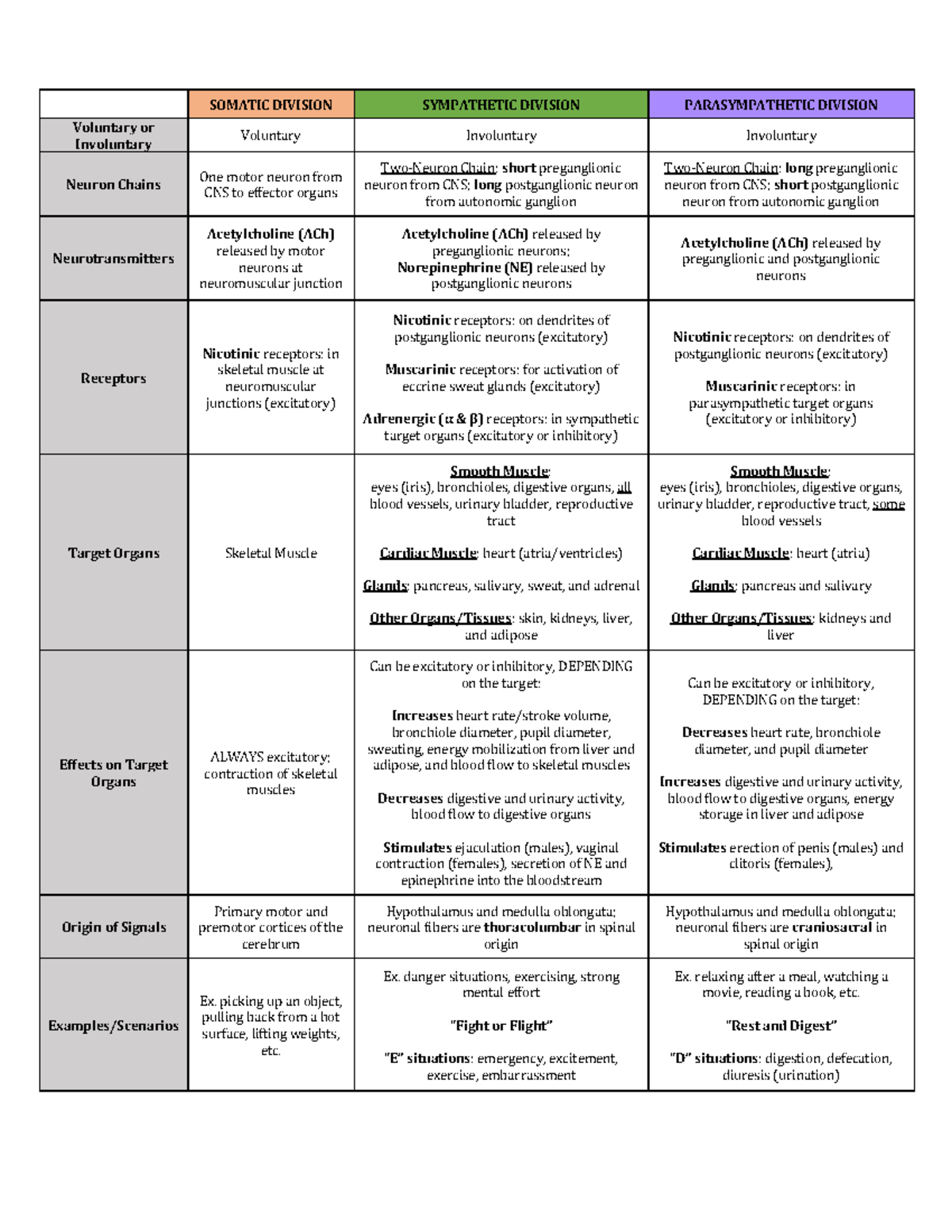 ANS Study Guide - SOMATIC DIVISION SYMPATHETIC DIVISION PARASYMPATHETIC ...