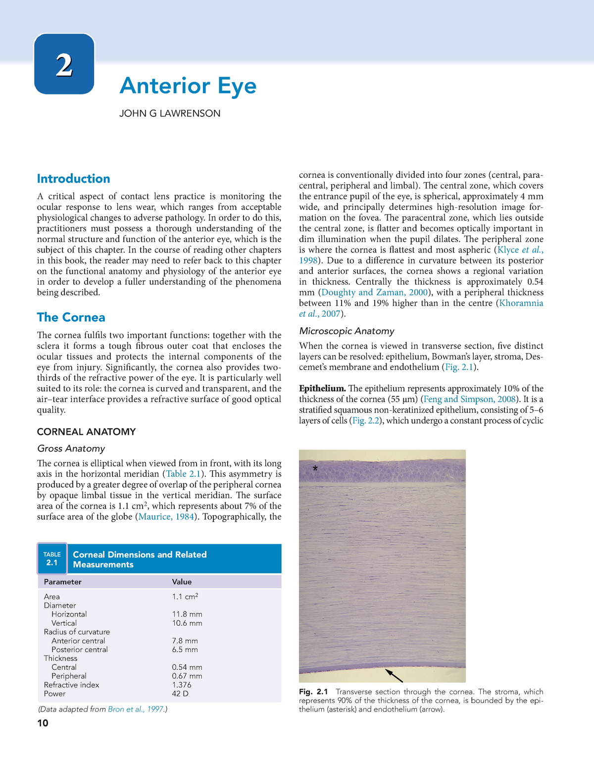 contact lens essay