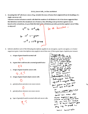 Central+dogma+ genetic transcipton translation and splicing - Click ...