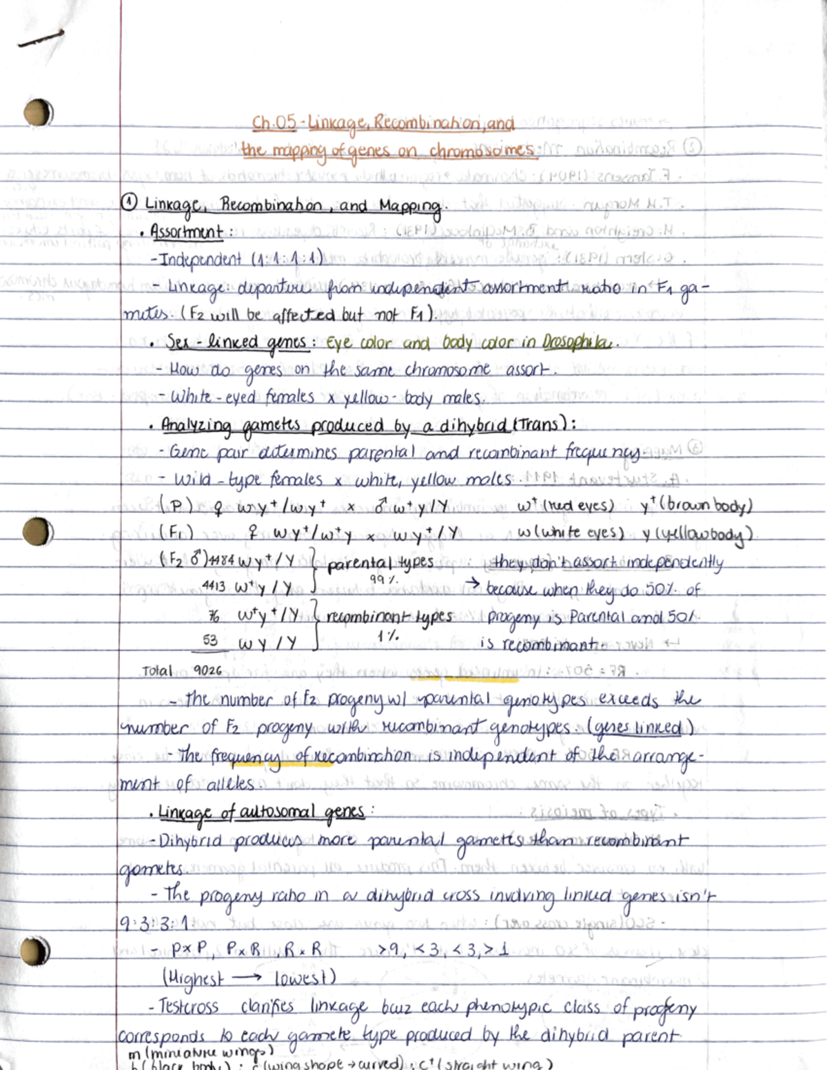 Chapter 5 - Linkage, Recombinantion and Gene Mapping - BIOLOGY 332 ...