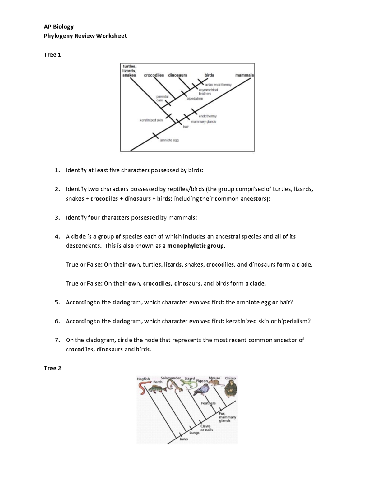 Phylogeny Review Worksheet AP Biology Phylogeny Review Worksheet Tree 