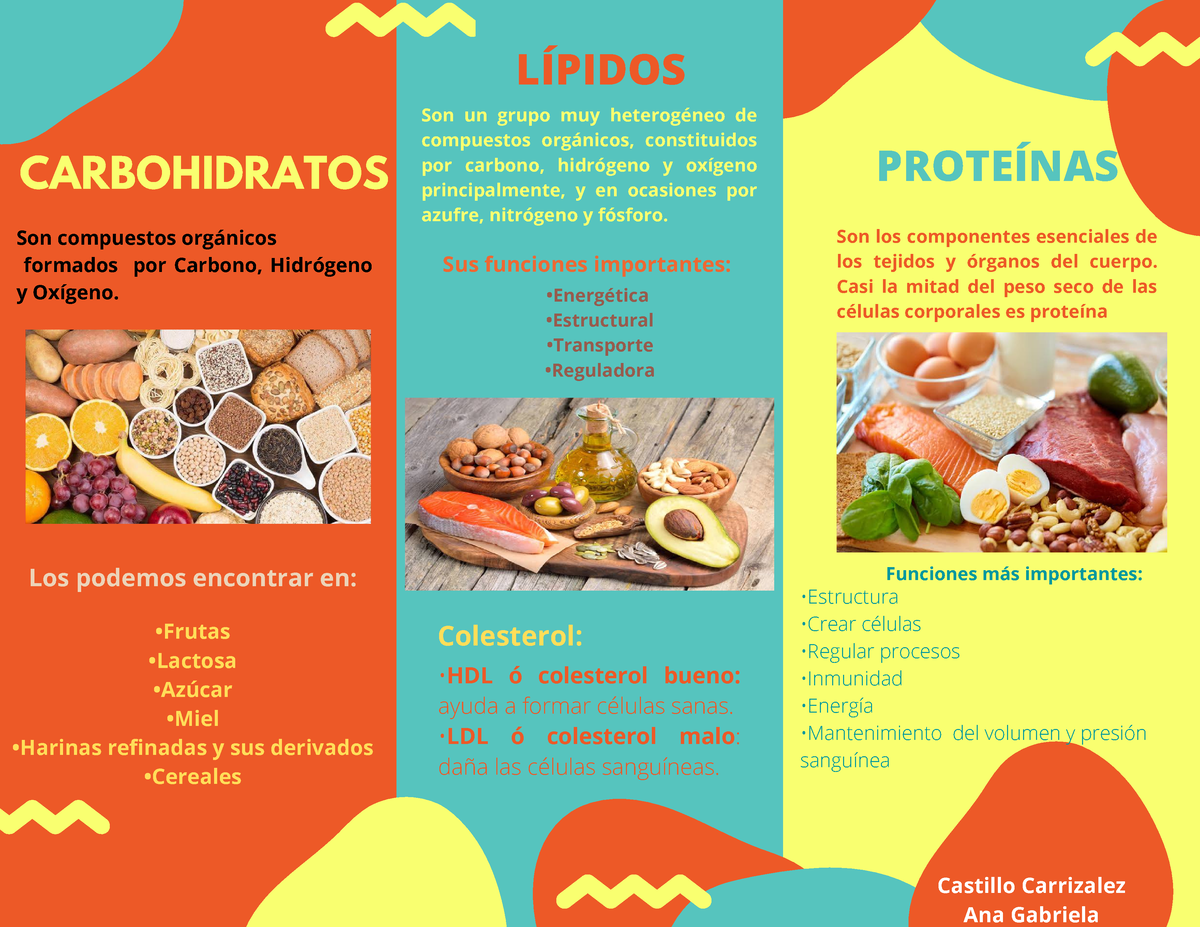 Infografia Glucidos Triptico Carbohidratos Glucosa Porn Sex Picture 0345