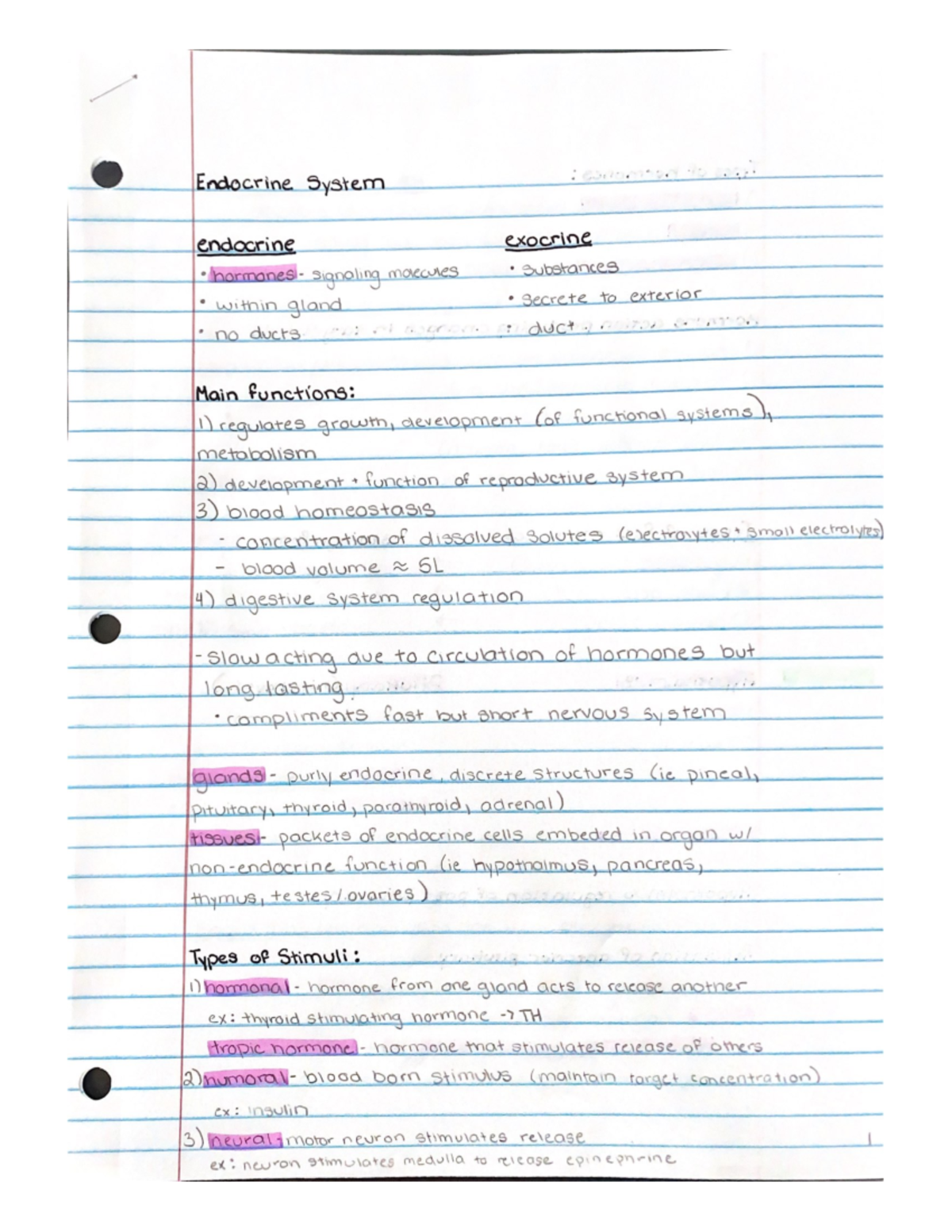 Endocrine system visual data 6