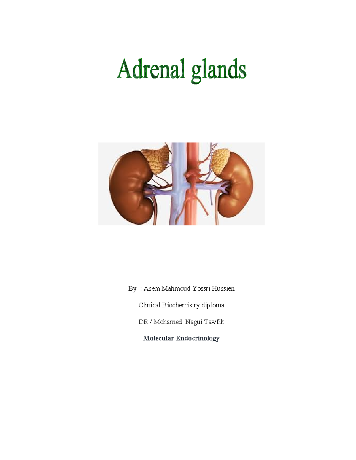 summary Adrenal glands - By : Asem Mahmoud Yossri Hussien Clinical ...