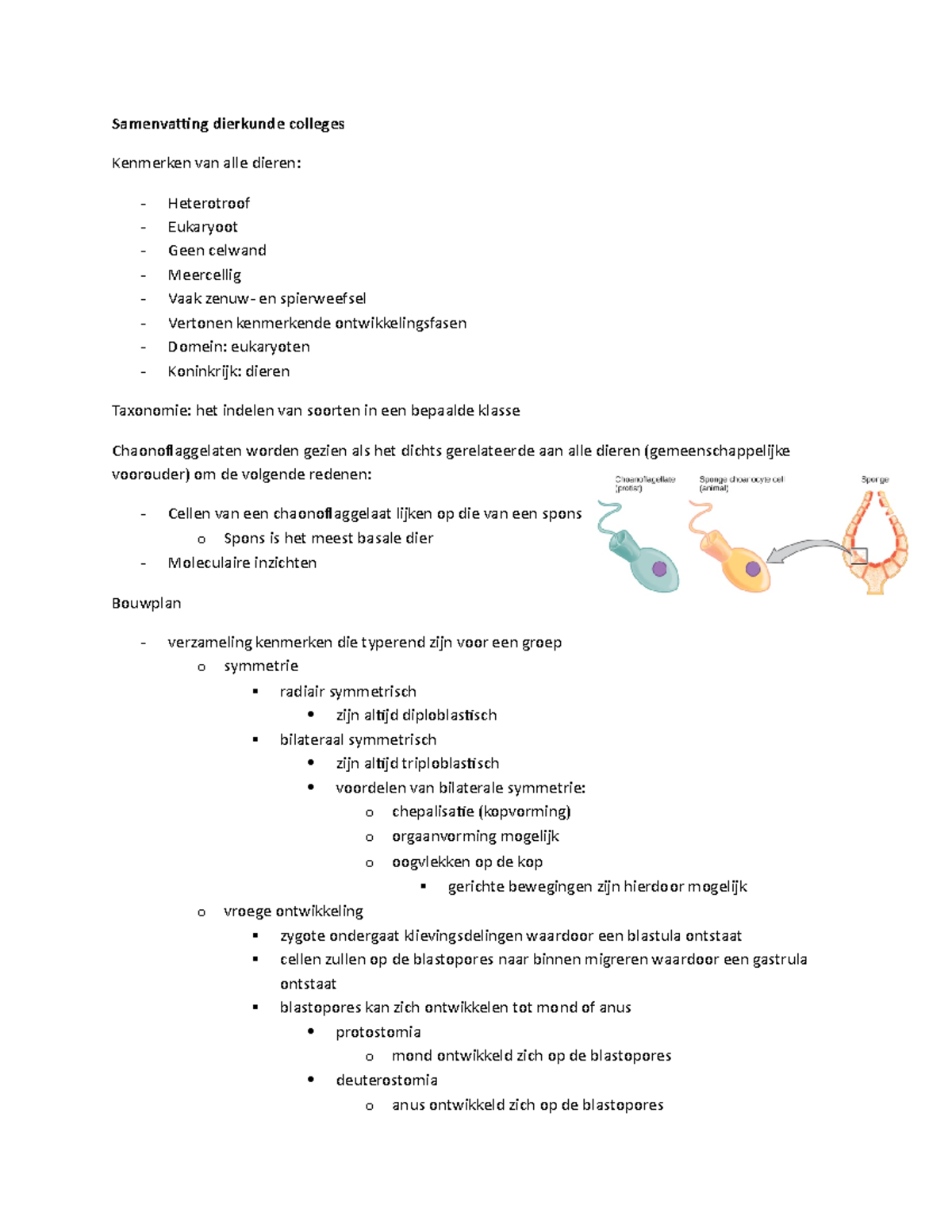 College-aantekeningen, Dierkunde - Samenvatting Dierkunde Colleges ...