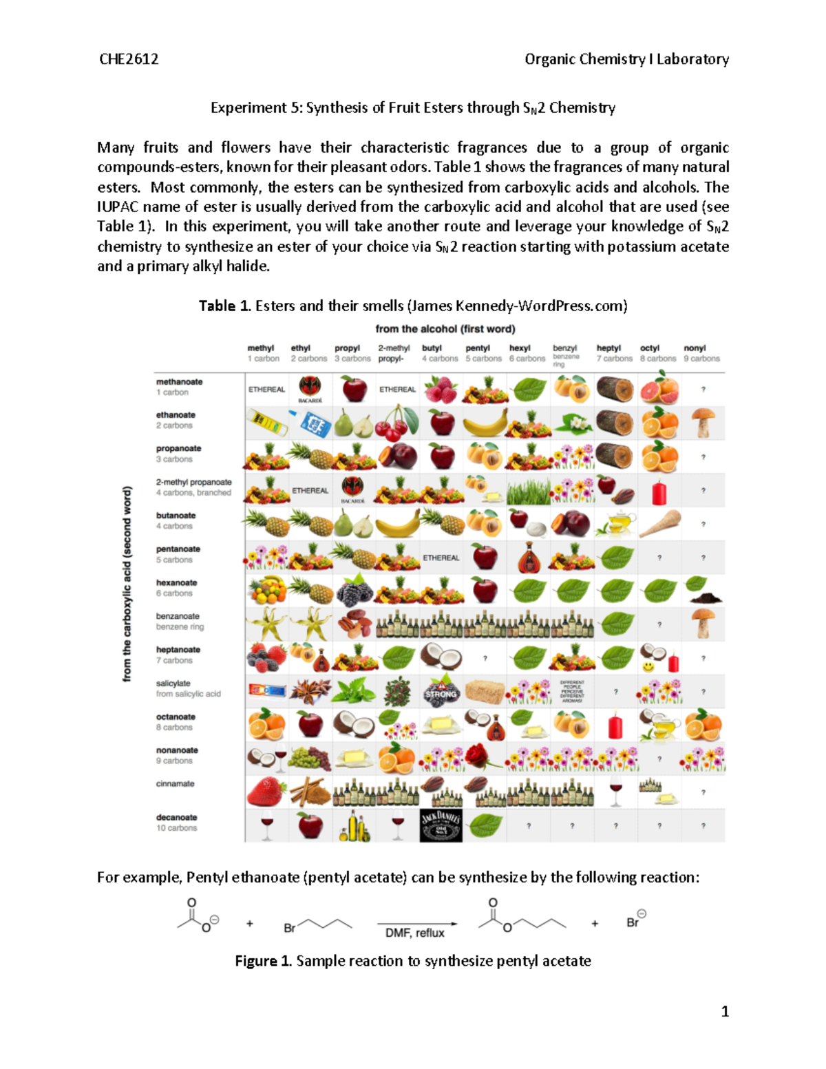 Experiment+5-synthsis+of+fruit+esters+by+Sn2+ - CHE26 12 Organic ...