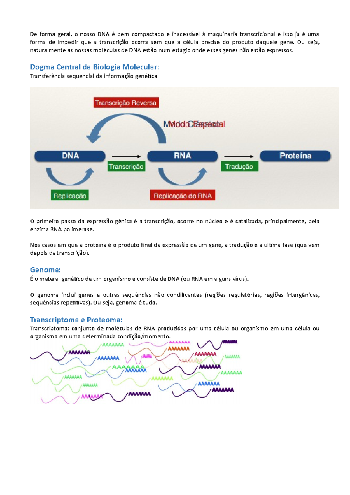 Aula 7 - expressão gênica e técnicas de dianóstico molecular - De forma ...