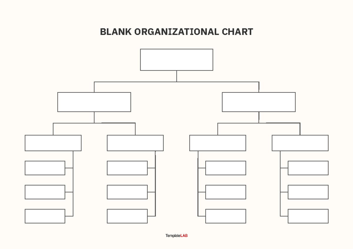 Blank-Organizational-Chart - Fundamentals Of International Logistics ...