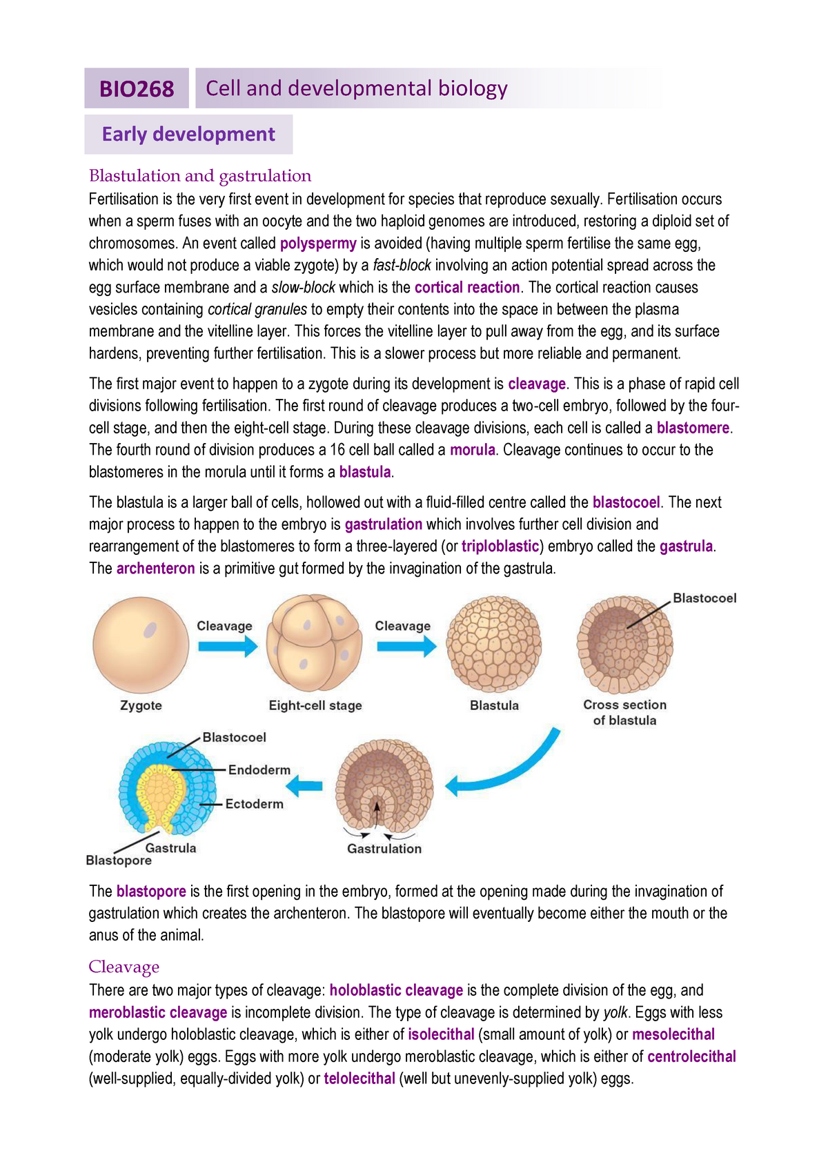 developmental biology assignment topics