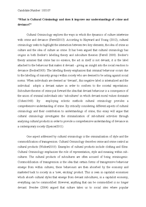 cultural criminology research paper