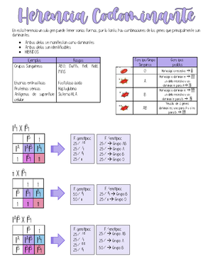 Síndromes - #Genetica #Medicina - SÍNDROMES Deleción/Adición ...