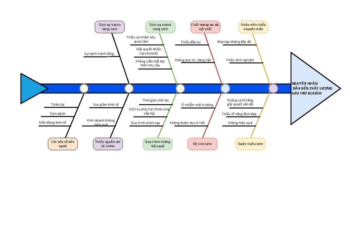 Fishbone+Diagram - Fishbone - NGUYÊN NHÂN DẪN ĐẾN CHẤT LƯỢNG LƯU TRÚ BỊ ...