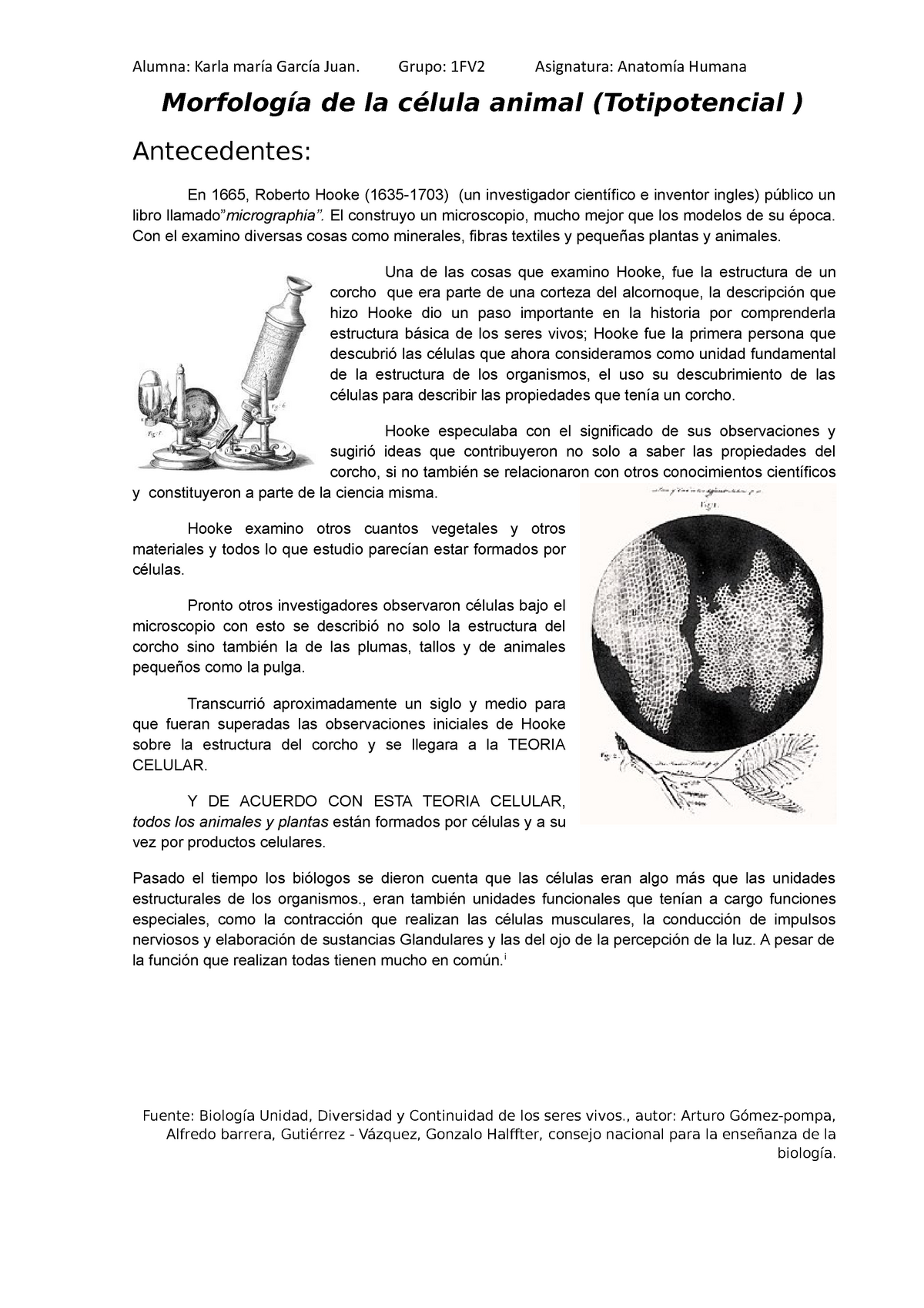1a Morfología de la célula animal - Morfología de la célula animal  (Totipotencial ) Antecedentes: En - Studocu