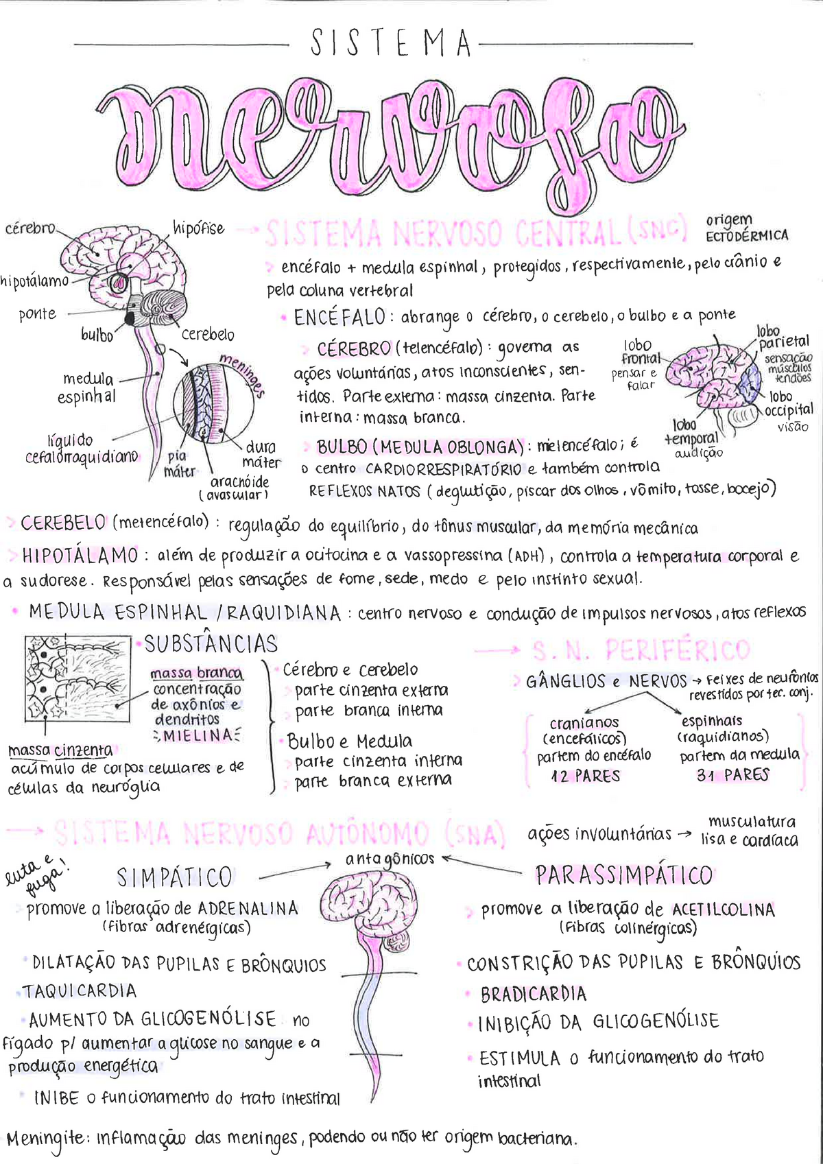 mapa mental Anamnese - Enfermagem