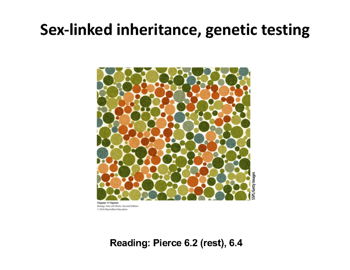 8 Sex Linked Inheritance And Genetic Testing Sex Linked Inheritance