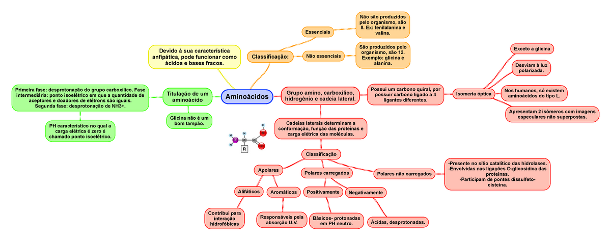 Aminoácidos Mapa Mental Aminoácidos Grupo Amino Carboxilico