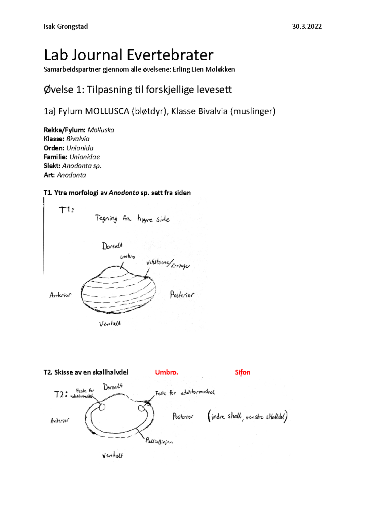 Lab Journal Evertebrater ferdig rettet Lab Journal Evertebrater