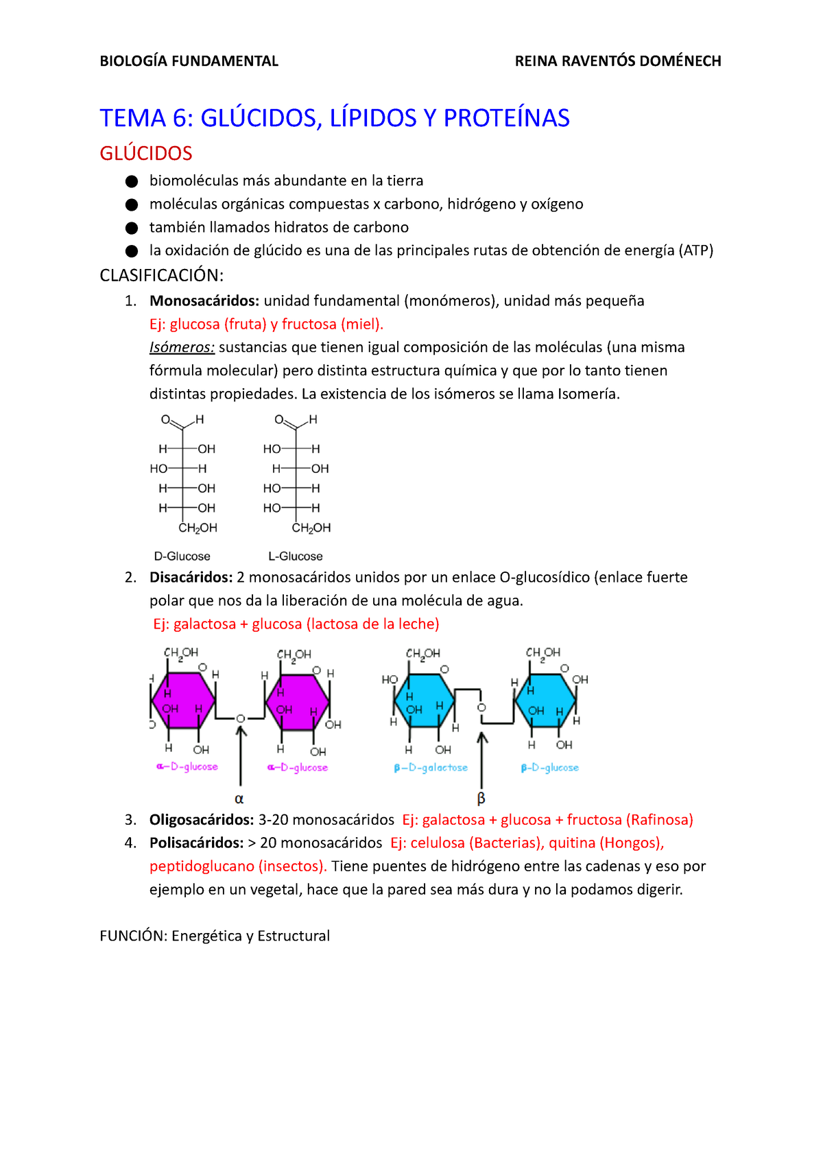 Tema 6 Glúcidos Lípidos Y Proteínas BiologÍa Fundamental Reina RaventÓs DomÉnech Tema 6 5309