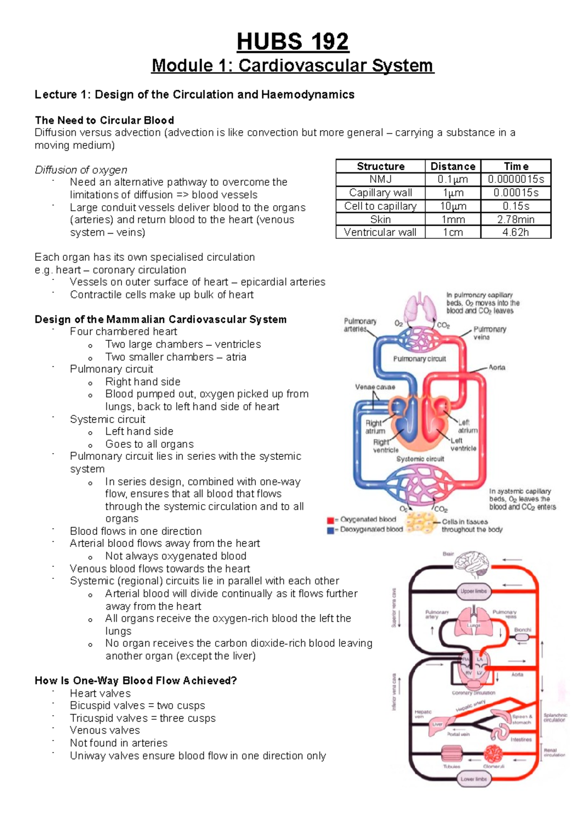 HUBS 192 Lecture Notes Cardiovascular System - HUBS 192 Module 1 ...