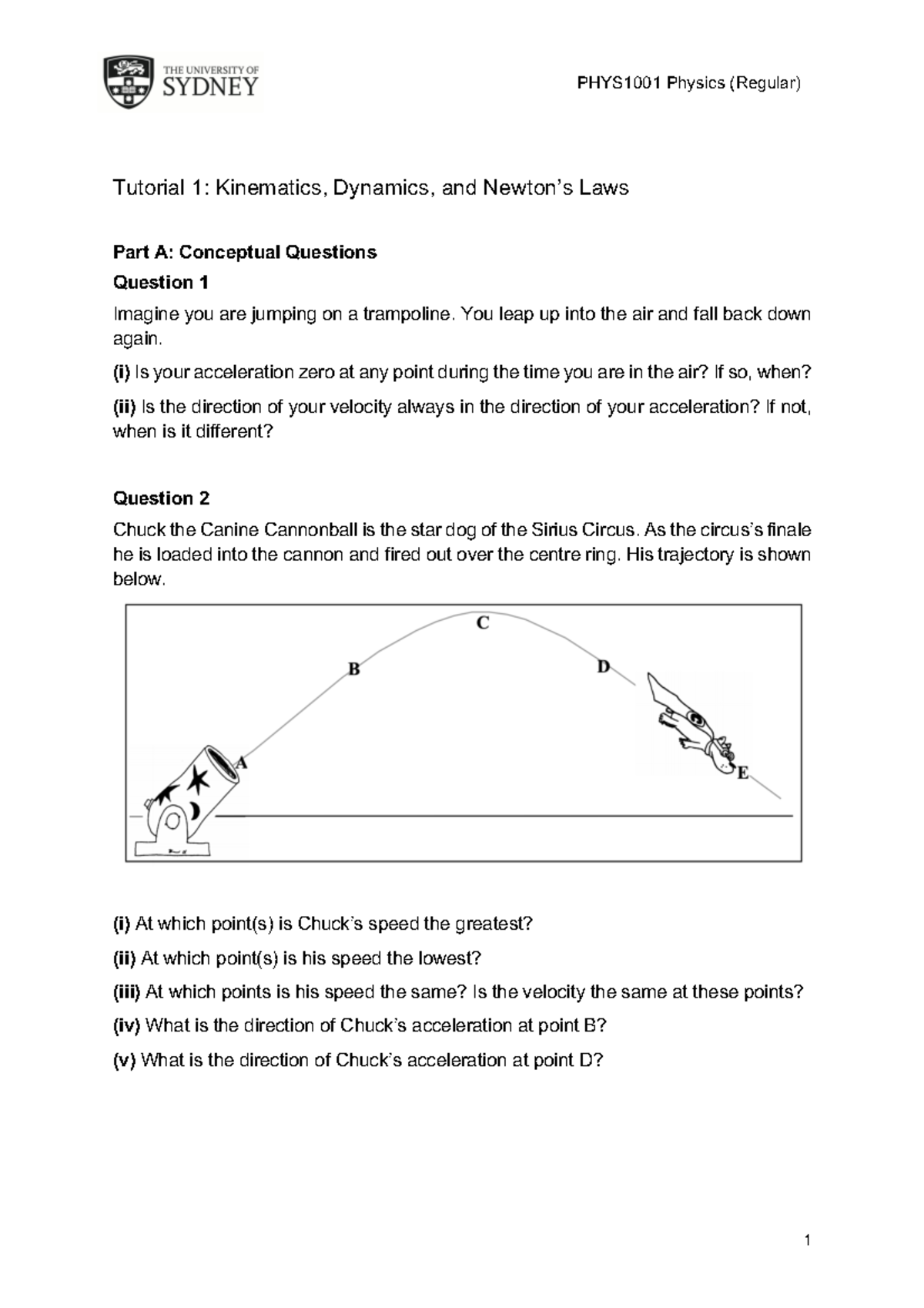 Phys1001 Tutorial 1 - 1 PHYS1001 Physics (Regular) Tutorial 1 ...