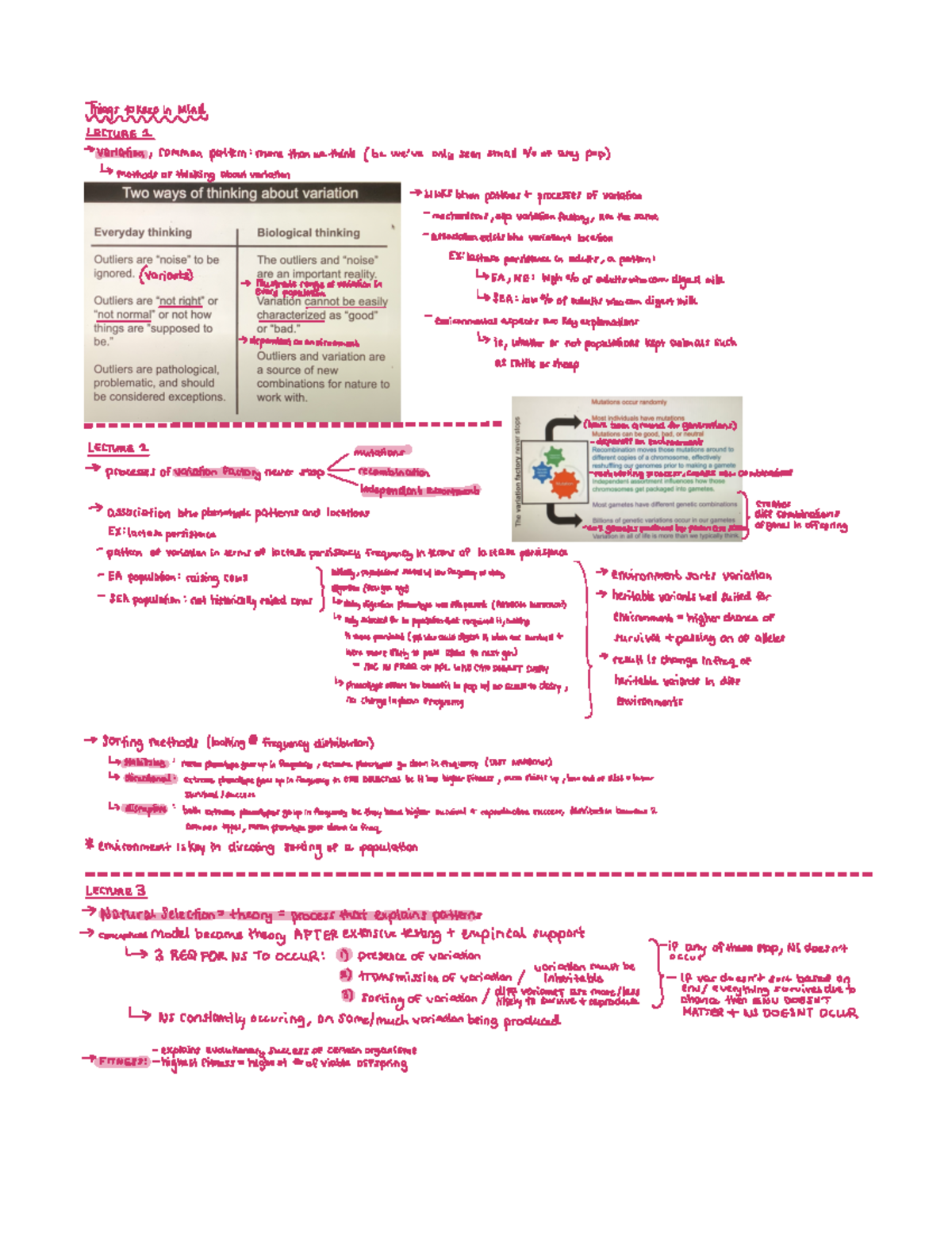 BIO 201 Review Session Notes Exam 2 Unit 3 - BIO 115 - Studocu