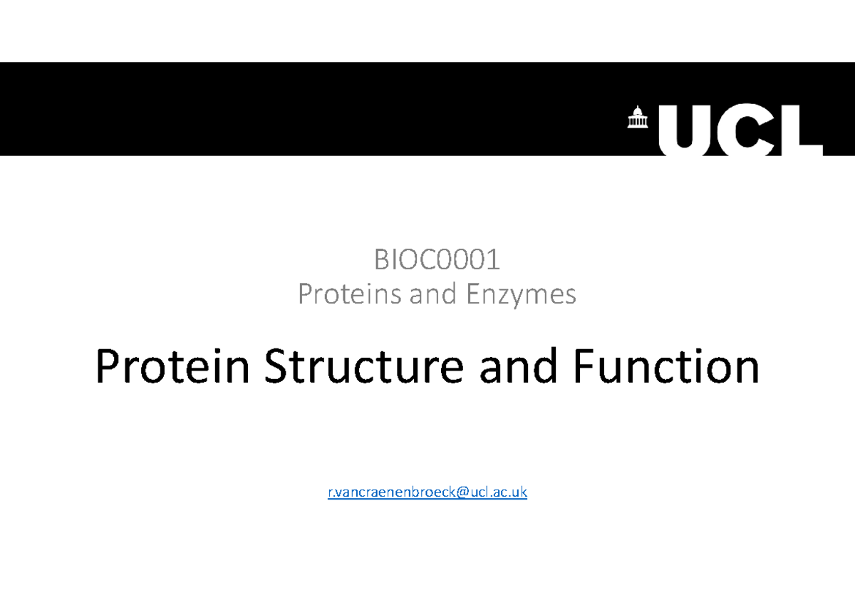 Protein 3 11111 BIOC Proteins and Enzymes Protein Structure and