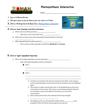 bioman biology photosynthesis interactive worksheet answers