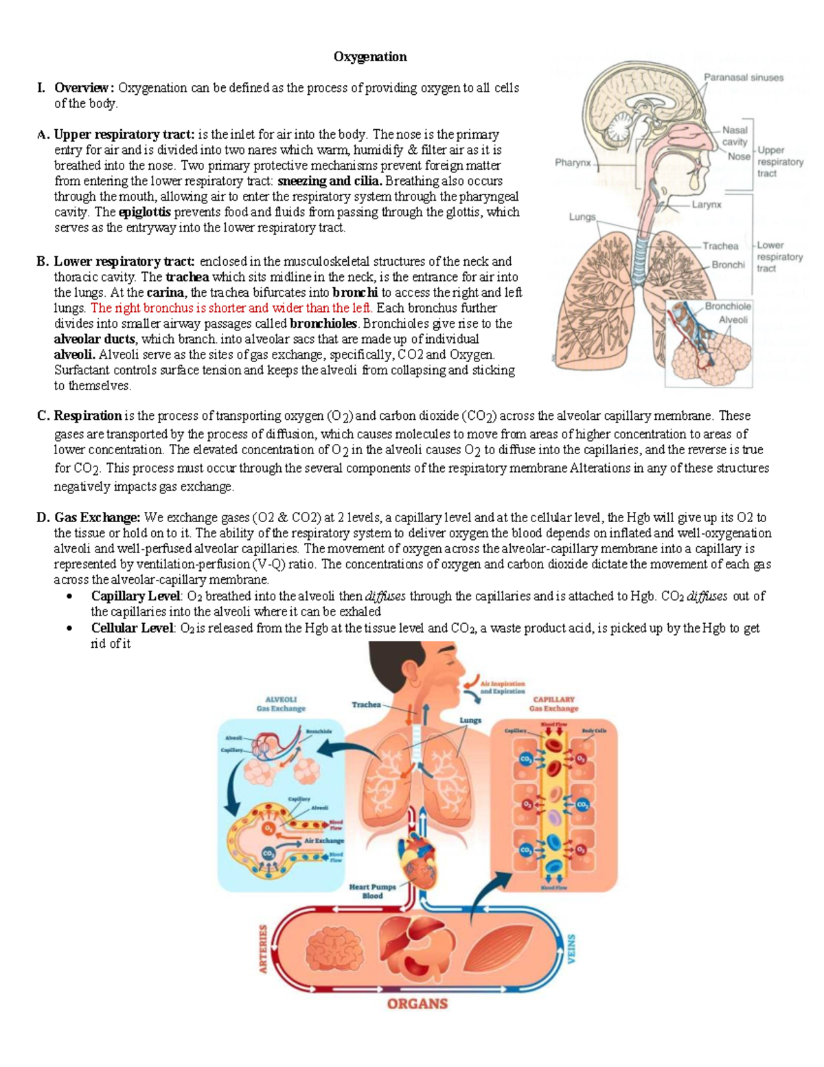 ARF,ARDS,Mech V - Perfusion - Oxygenation I. Overview: Oxygenation can ...