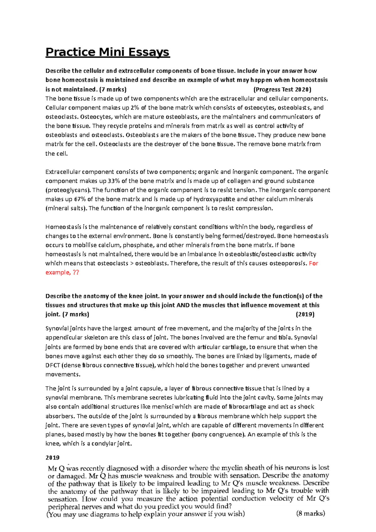 Practice Mini Essays - Good examples - Practice Mini Essays Describe ...