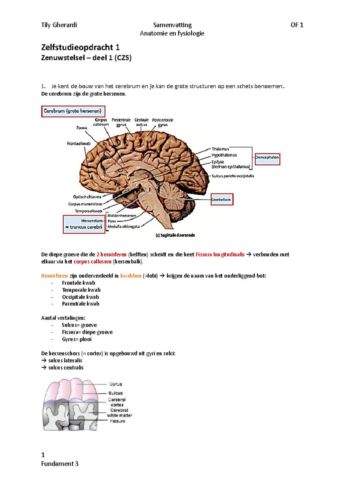 Zelfstudieopdracht 1 - CZS - Fundament 3 - Anatomie En Fysiologie ...