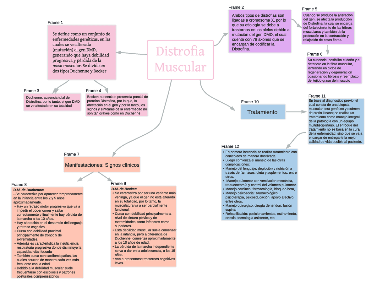 Mapa distrofia muscular - Son URL de paginas importantes de fisiología ...