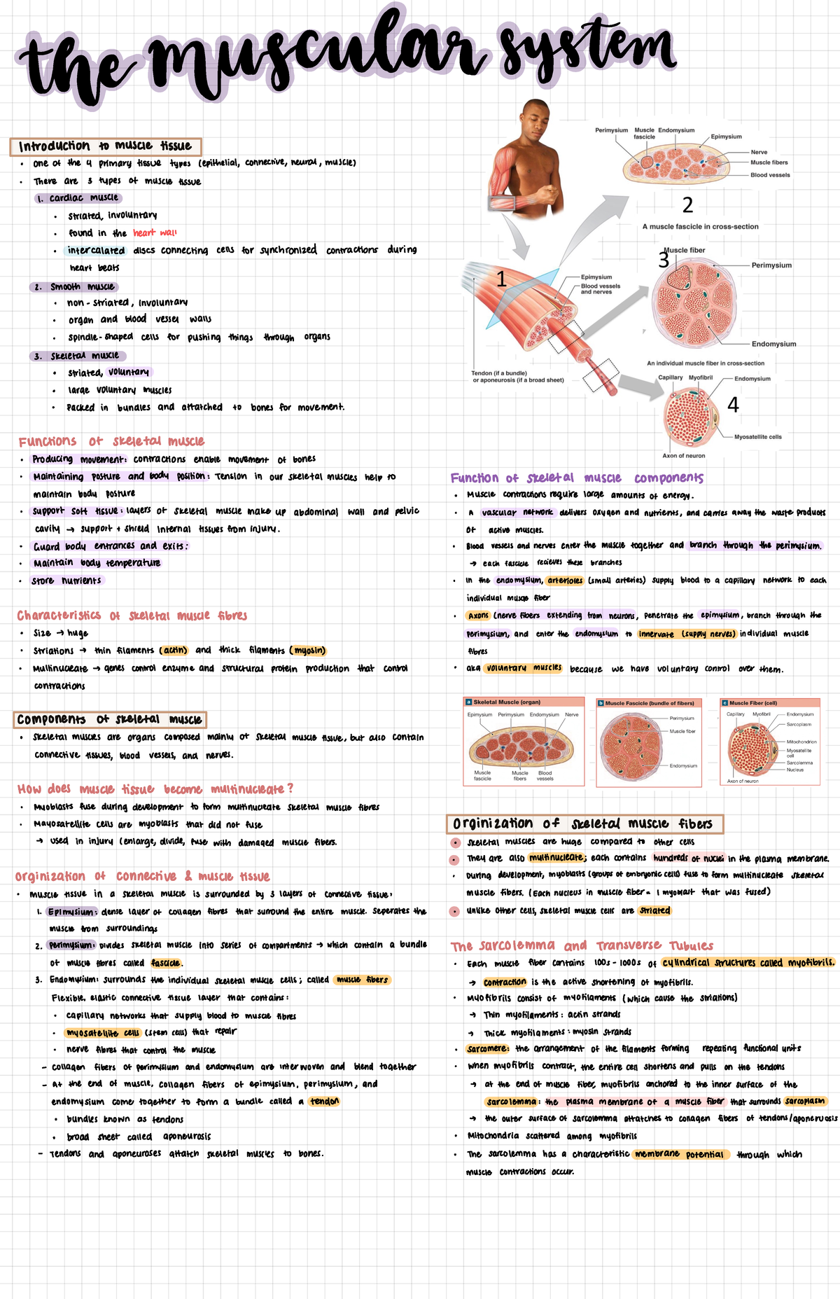 PLN Chapter 10 - all the lecture notes we did in class are inside this ...