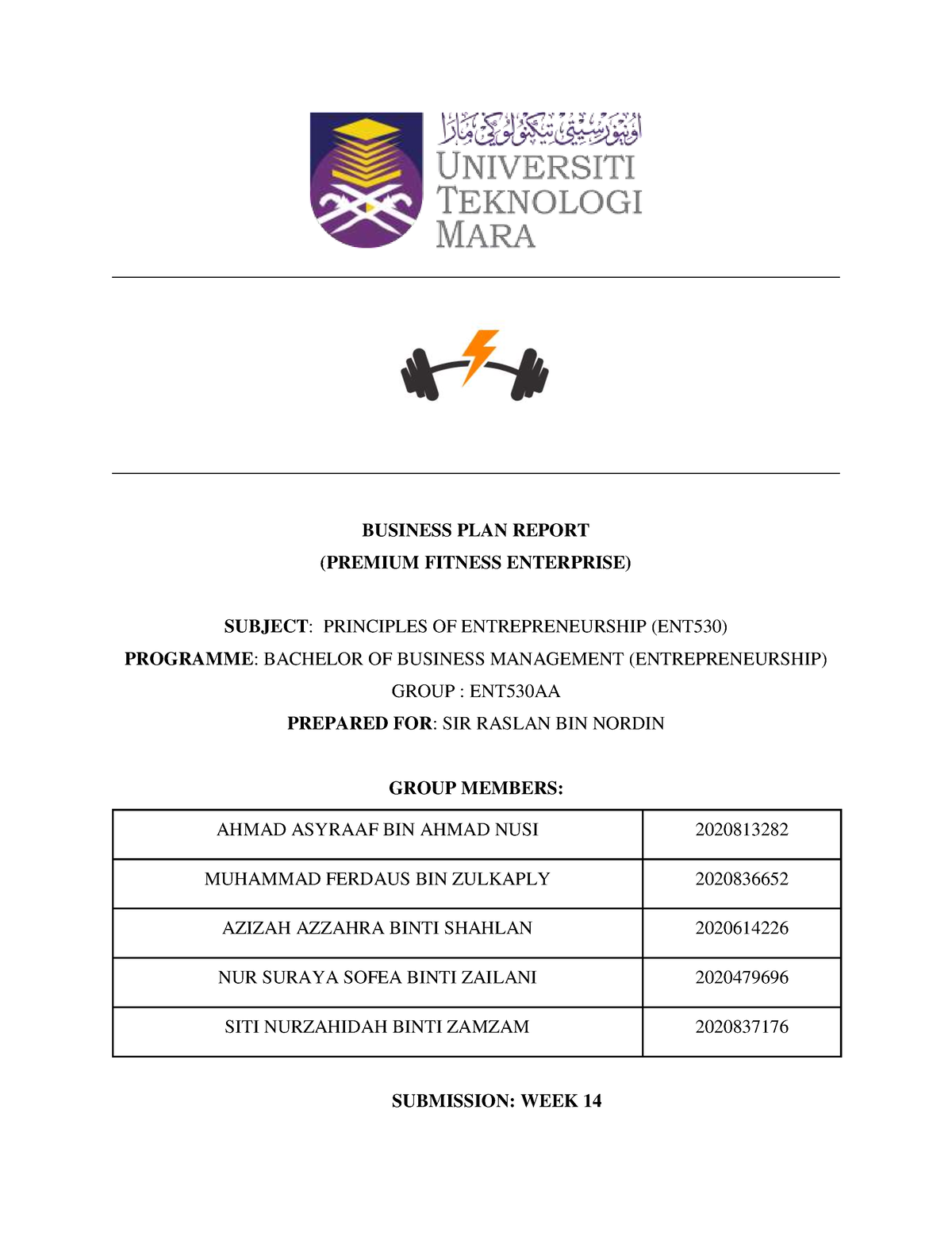 ent530 assignment business plan